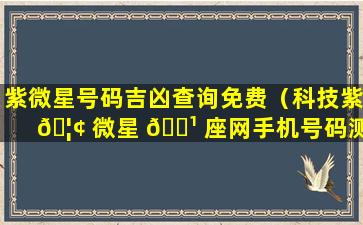 紫微星号码吉凶查询免费（科技紫 🦢 微星 🌹 座网手机号码测吉凶）